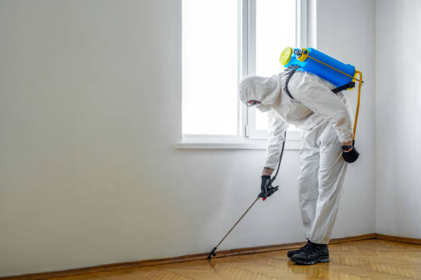 Professional Pest Control in Salix, PA